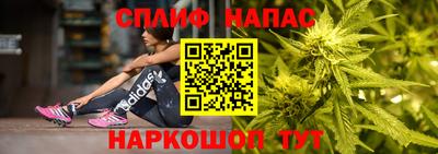 ГАЛЛЮЦИНОГЕННЫЕ ГРИБЫ Беслан