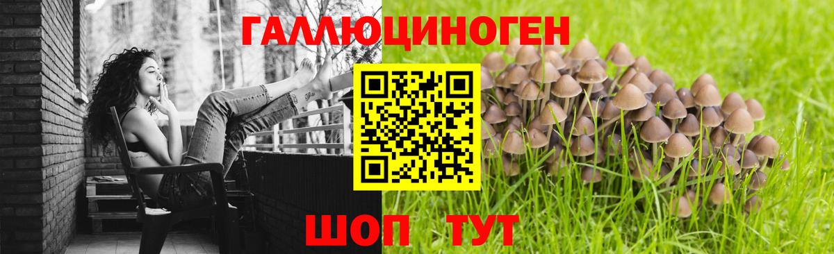 Псилоцибиновые грибы MAGIC MUSHROOMS  Псилоцибиновые грибы Cubensis  Кандалакша  Вход с VPN 