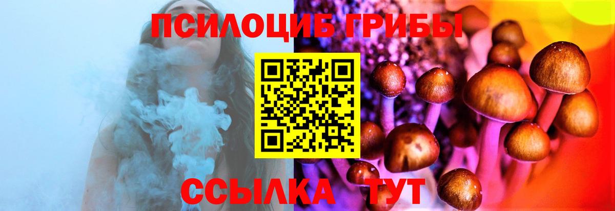 Псилоцибиновые грибы прущие грибы Кандалакша